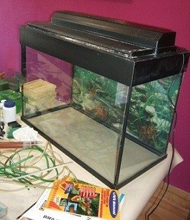 Acuario completo de 80 litros con accesorios