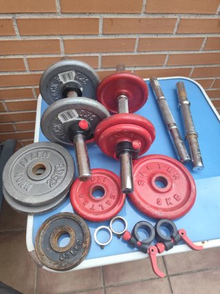 Lote de Pesas y Mancuernas