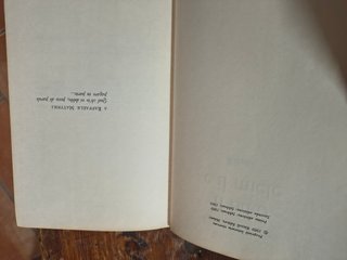 Libro Il buio e il miele, romanzo di Giovanni Arpi