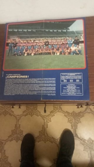Disco Vinilo Azul y Grana FC Barcelona