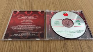 CD di Tom Burris in vendita, cantautore pop rock folk del 2002