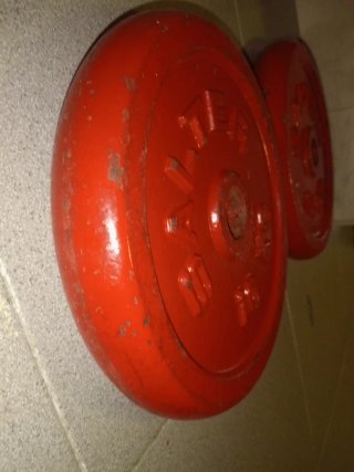 Disco Pesas Salter 10kg 30mm