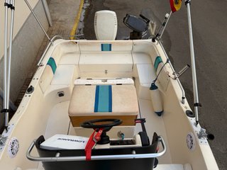 Barca Rio 500 Sol con motor Johnson 90cv