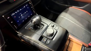 Mazda MX-30 eSKYACTIVE 107kW Makoto Indus.Vintage (2022)
