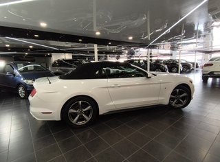 Ford MUSTANG 3.7L V6 Ti-VCT