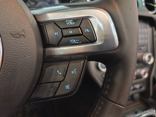 Ford MUSTANG 3.7L V6 Ti-VCT