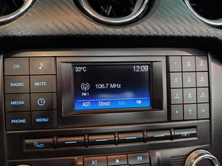 Ford MUSTANG 3.7L V6 Ti-VCT