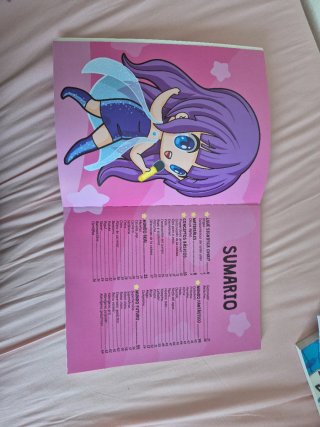 Manga. Aprendo a dibujar personajes estilo chibi