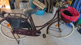 Bici Passeggio Esperia Holland 26 Usata