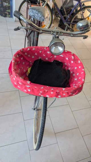 Bici Passeggio Esperia Holland 26 Usata