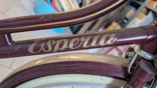Bici Passeggio Esperia Holland 26 Usata
