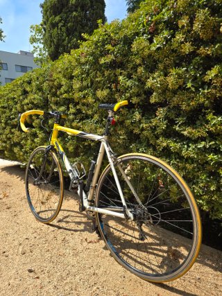 Bicicleta de ruta + accesorios