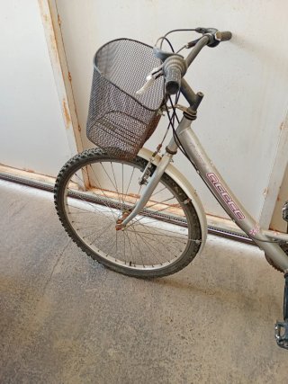 Bicicleta plateada con cesta