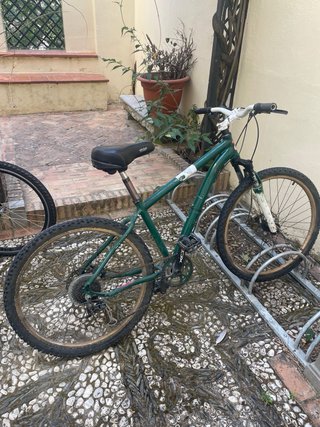 Bicicleta de montaña verde
