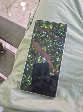 Samsung Galaxy S25 Ultra Verde/Plata
