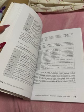 Manual de Lengua Española uned