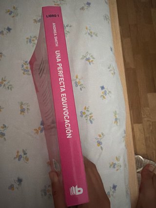 Una perfecta equivocación (libro 1)