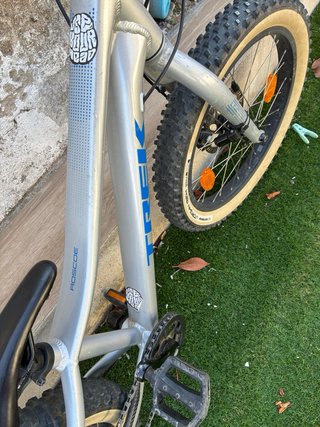 Bicicleta Trek Roscoe 20”