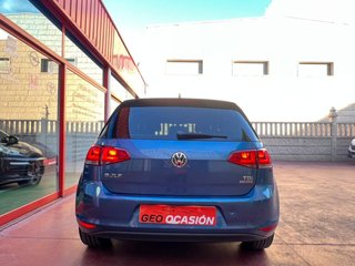 VOLKSWAGEN Golf Bluemotion 1.6 TDI 110cv