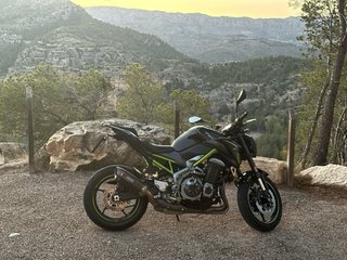 Kawasaki Z900 Performance 2018 - 50.000 km A2