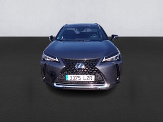 Lexus UX 250h Business 2WD 135 kW (184 CV)
