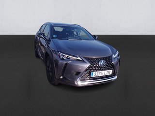 Lexus UX 250h Business 2WD 135 kW (184 CV)