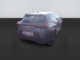 Lexus UX 250h Business 2WD 135 kW (184 CV)