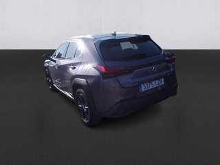 Lexus UX 250h Business 2WD 135 kW (184 CV)