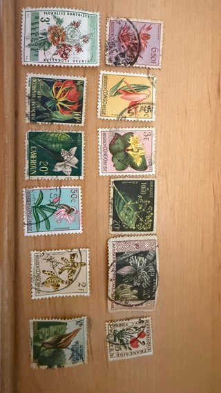 Lote Sellos Antiguos Florales y Fauna