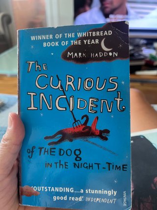 The Curious Incident of the Dog in the Night-time