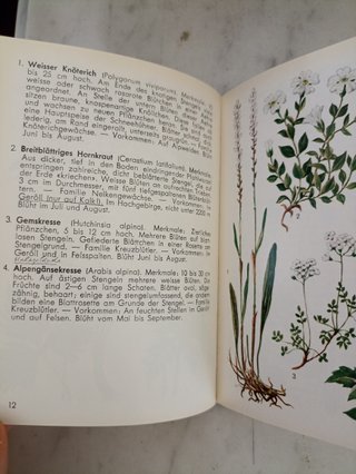 Libri Vintage Botanica Alpina"Alpen Blumen" I & II