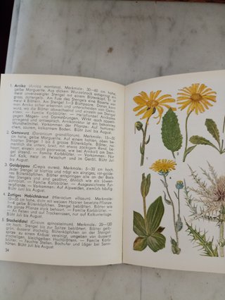 Libri Vintage Botanica Alpina"Alpen Blumen" I & II