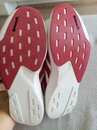 Adidas Adizero Evo SL Indiana