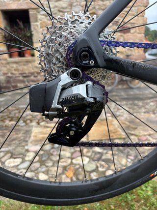 Megamo Pulse Elite