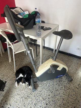 Bicicleta Estática VM130 Domyos