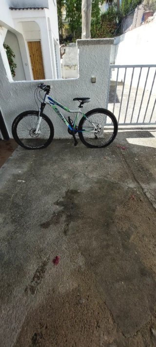 Bicicleta Montaña Blanca y Verde