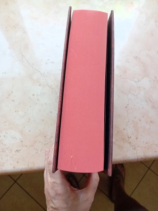 Il grande libro dei gialli di Natale