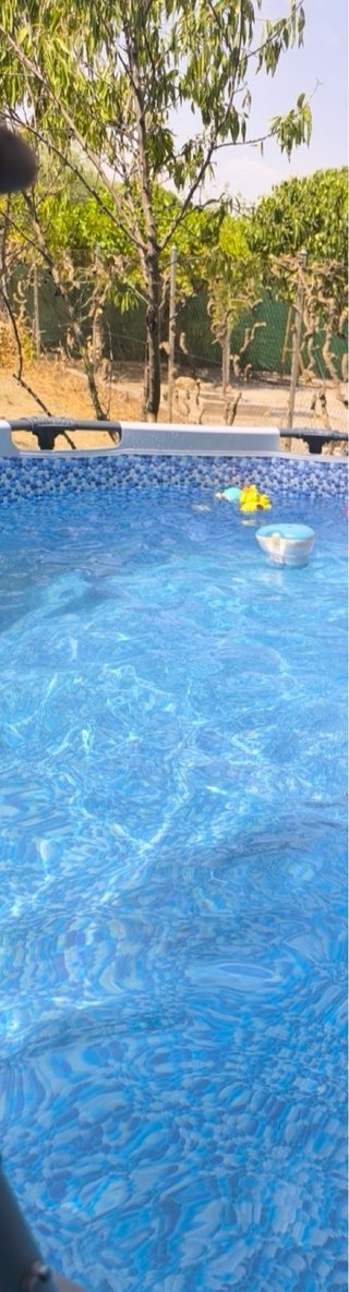 Piscina Desmontable Bestway 366x100