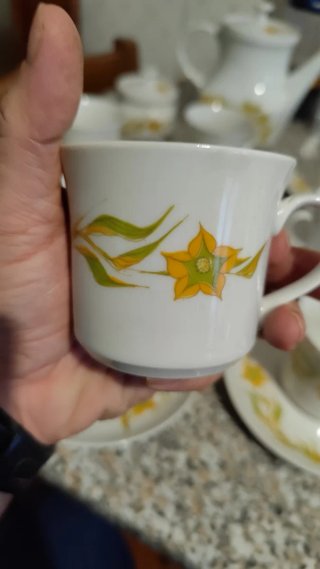 Servizio porcellana Boemia