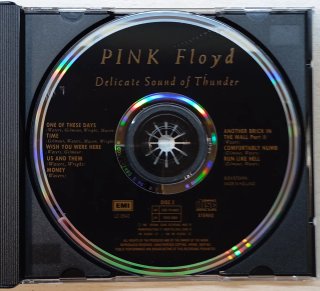 Pink Floyd – Delicate Sound of Thunder [2 CD]