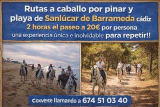 Rutas a caballo por pinar y playa