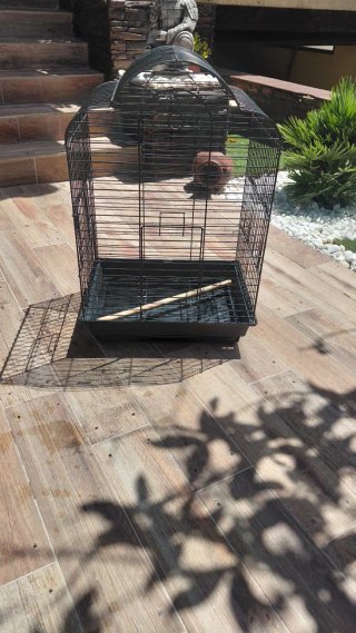 Jaula para agaponis o loros