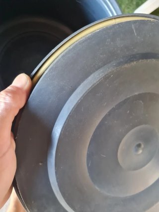 Bidón para maceración de fruta 30l
