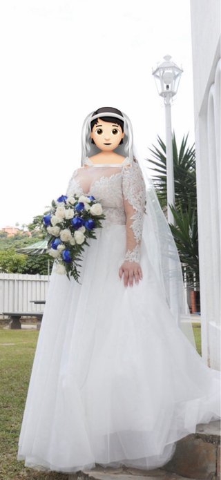 Vestido de Novia con Velo y Armador