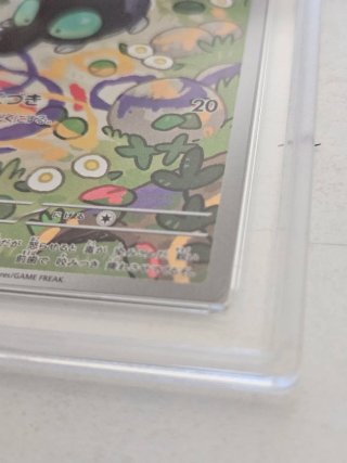 Carta Pokémon Shroodle Illustration Rare 9.5