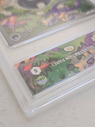 Carta Pokémon Shroodle Illustration Rare 9.5