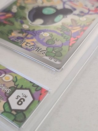 Carta Pokémon Shroodle Illustration Rare 9.5