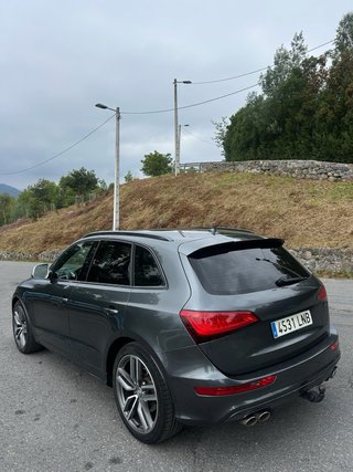 Audi SQ5 2014