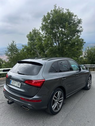 Audi SQ5 2014