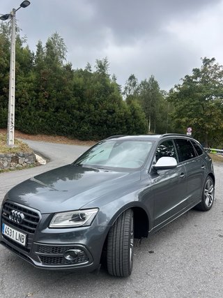 Audi SQ5 2014